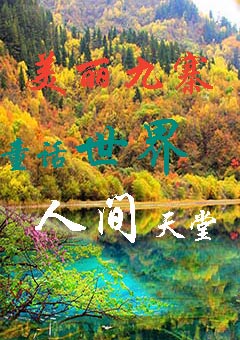 九寨溝旅游，九寨溝三日游